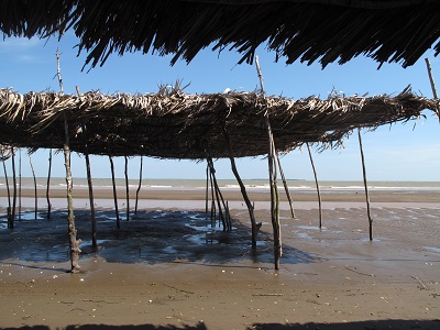 M&ocirc; h&igrave;nh "Du lịch biển sinh th&aacute;i" ở Thừa Đức, Bến Tre